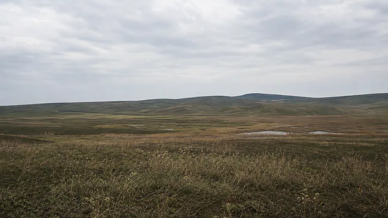 Охраняемая степная территория Врэнешть
