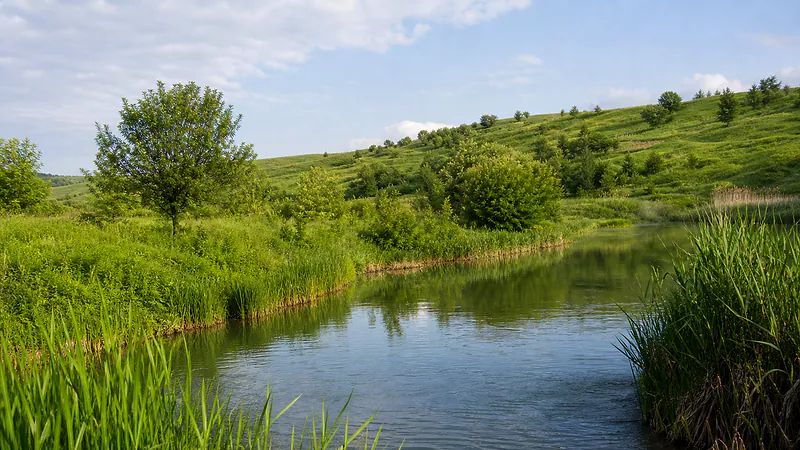 Берег Икеля у Кодрянки
