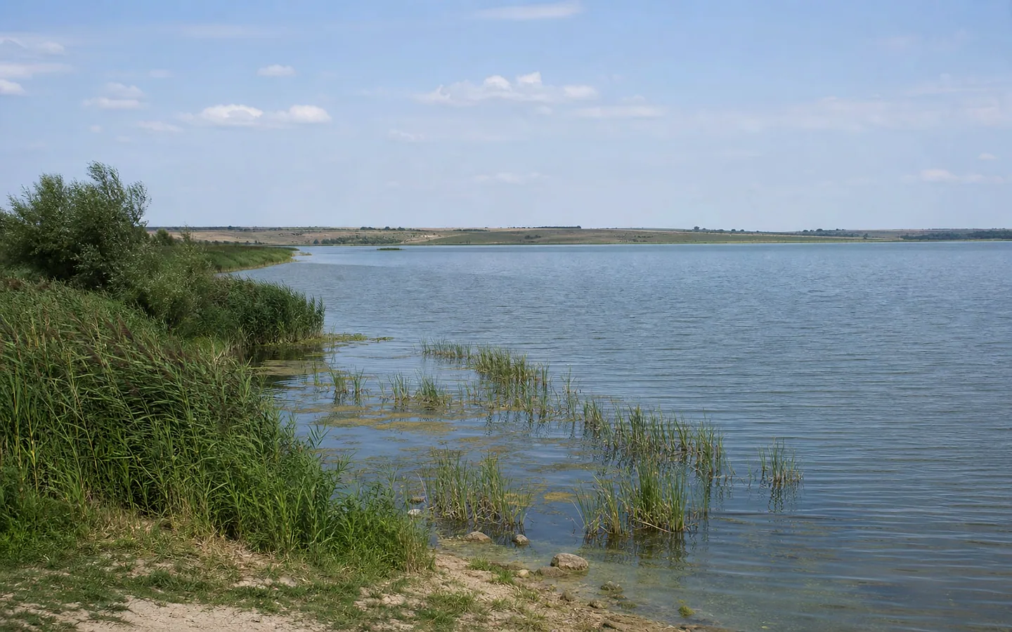 Кучурганское водохранилище