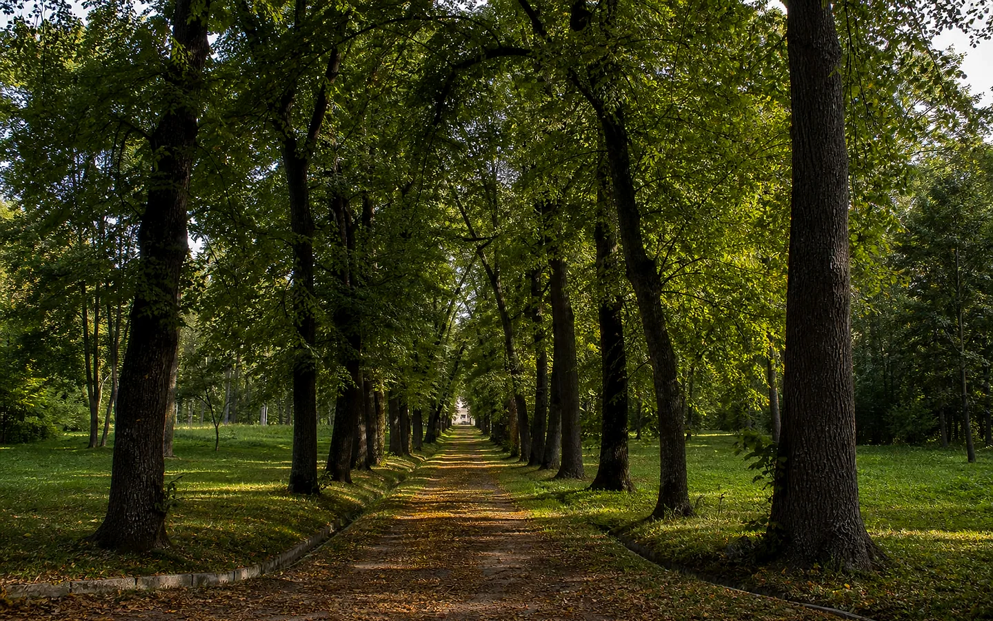 Лесопарк Цауль, Дондюшень