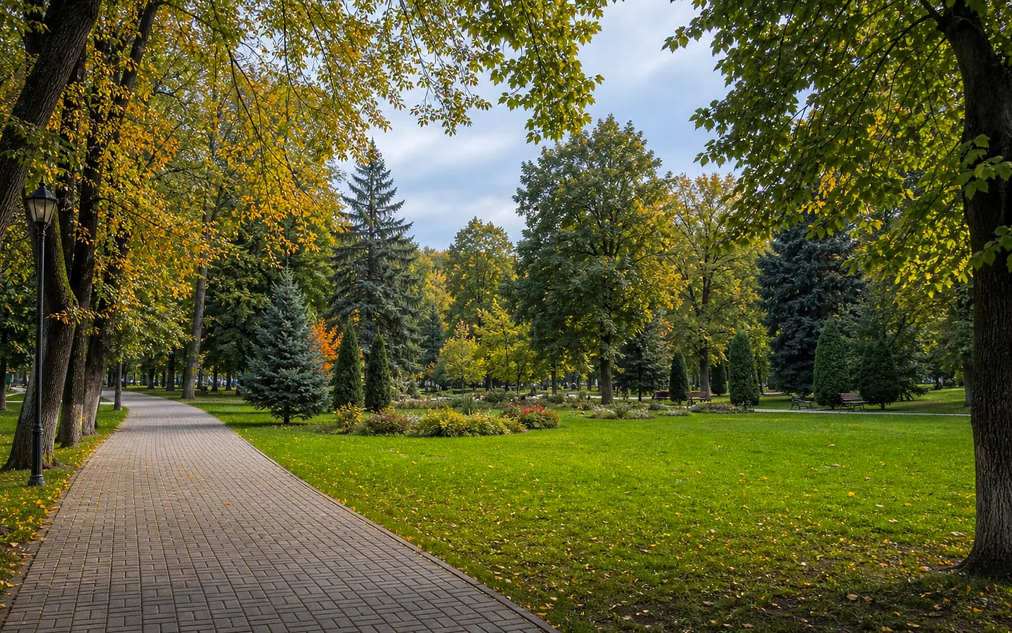 Парк города Единец