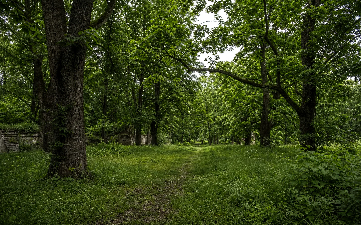 Парк и поместье в селе Куболта, Сынджерей