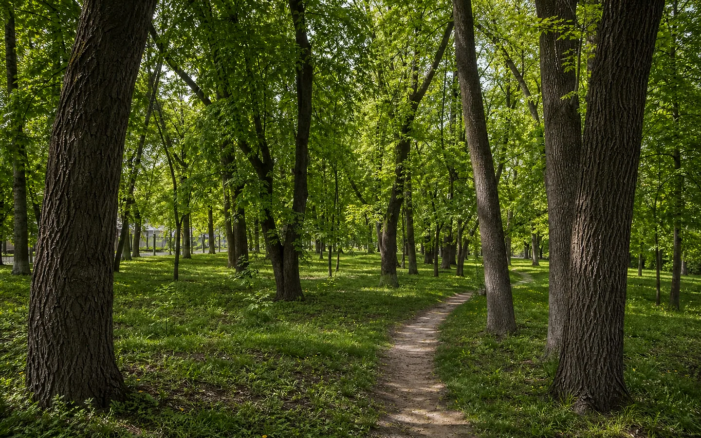 Парк в селе Темелеуць, Флорешть