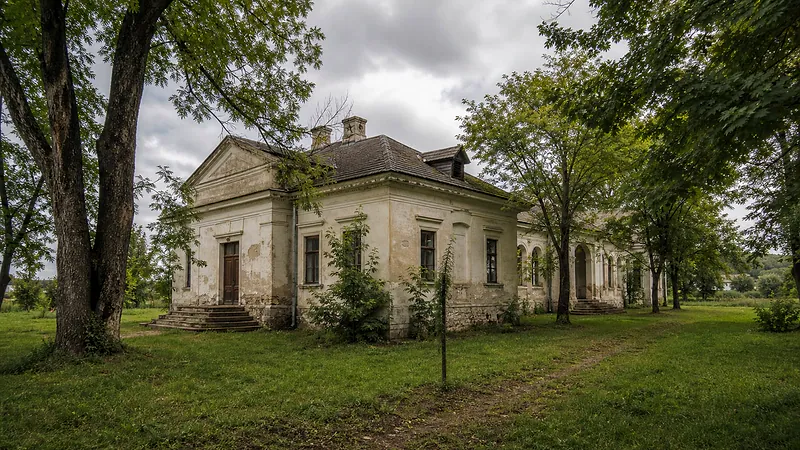 Поместье Яновского (Драгэлина), Гура Быкулуй, Новые Анены