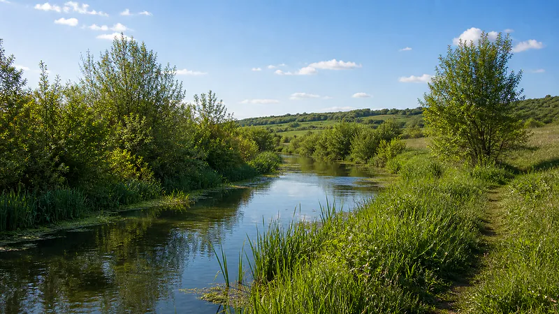 Берег Куболты у Плопа